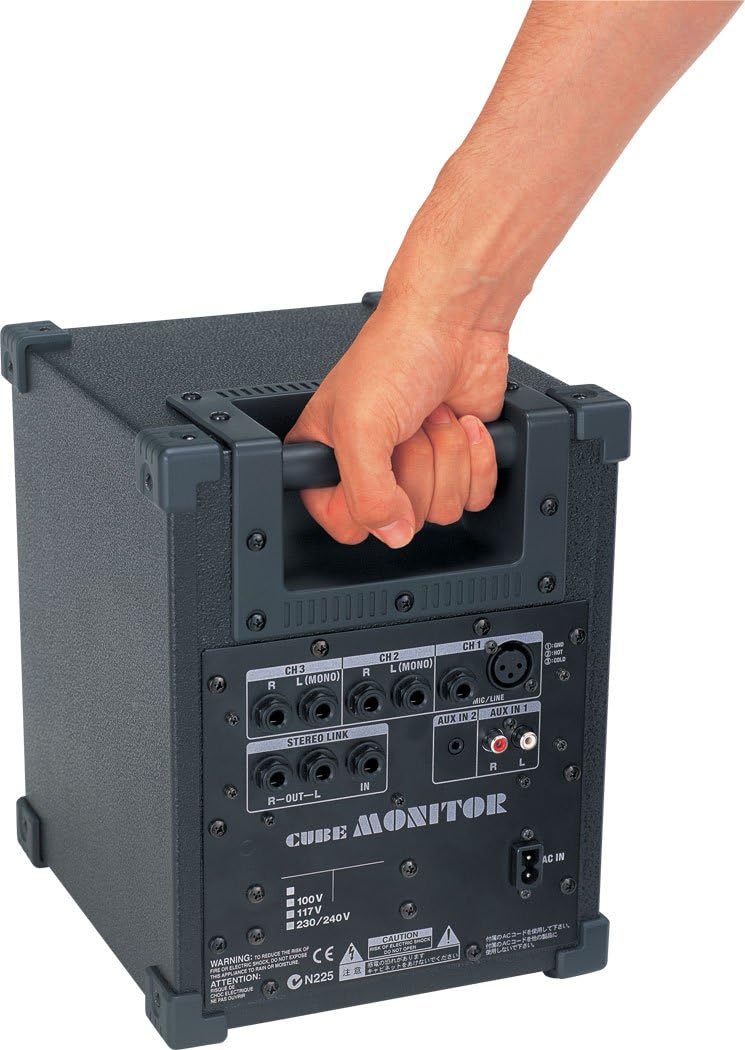 Roland Cube Monitor/PA