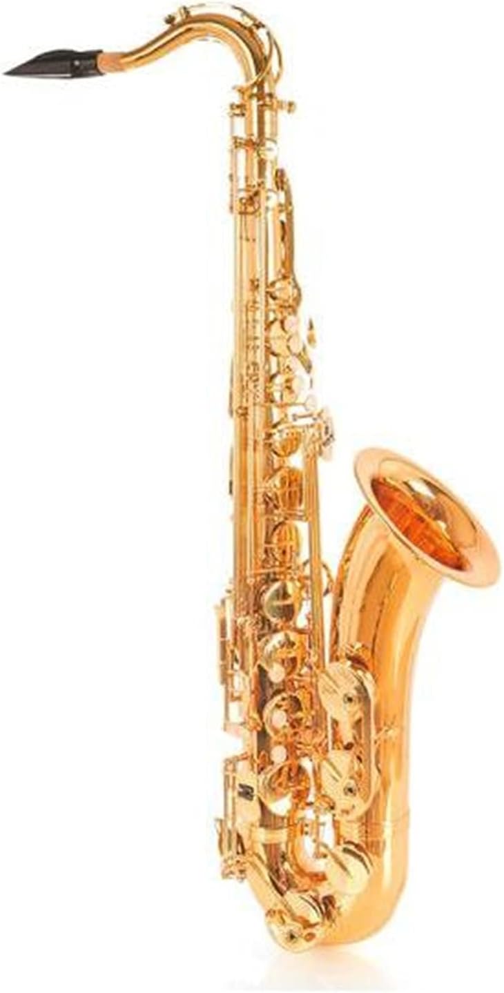 Sax Beginners Kit Bb Tenor Black Nickel Saxophone Instrument B Flat Sax with Case Mouthpiece Accessories Wind Instrument (Color : Gold Lacquer)