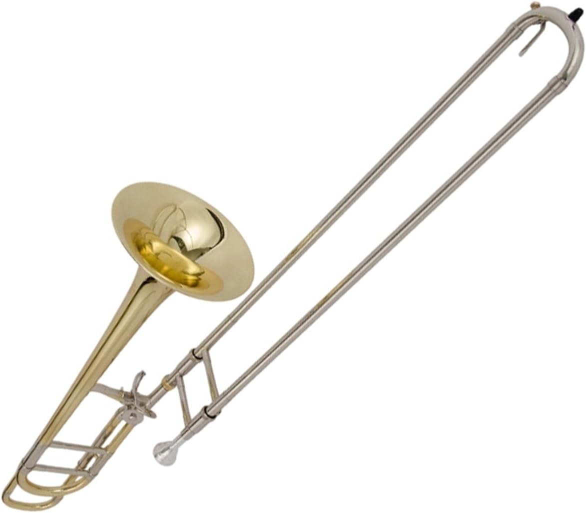 Adult Trombone Instrument Professional Performance Or Practice Of Trombone Instrument B Flat Tenor(4)