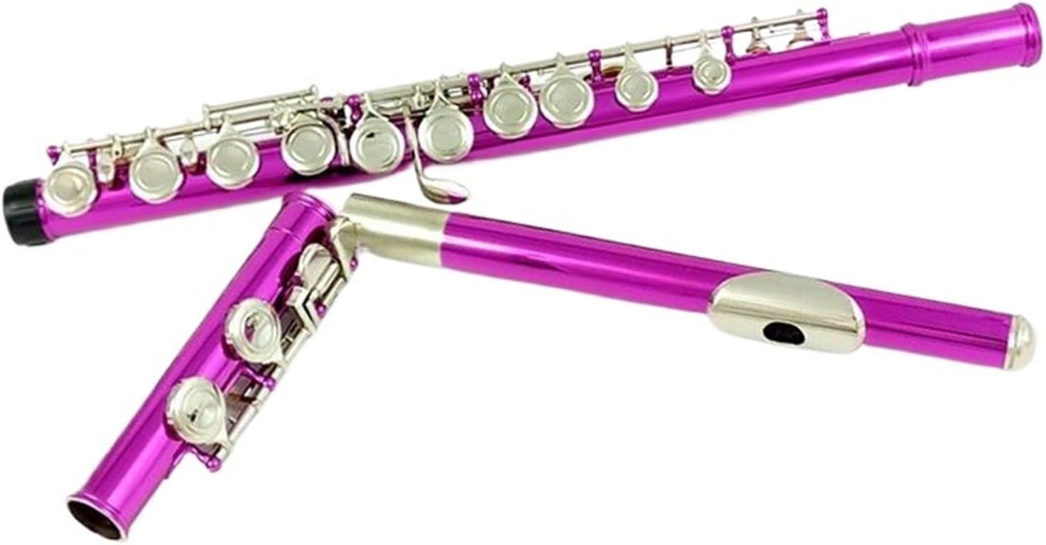 Flute 16 Closed Hole C Key Woodwind Instrument Adult Beginner