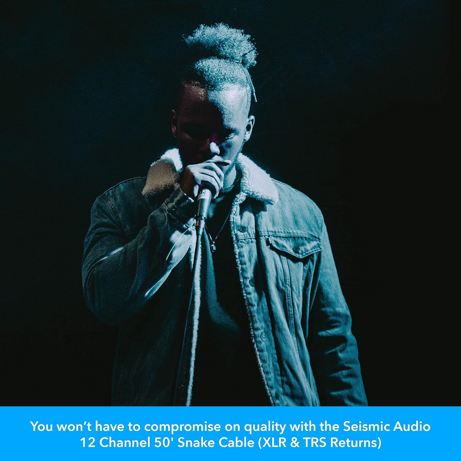 Seismic Audio - SALS-12x4x50 - 12 Channel 50' Pro Stage XLR Snake Cable (XLR & 1/4