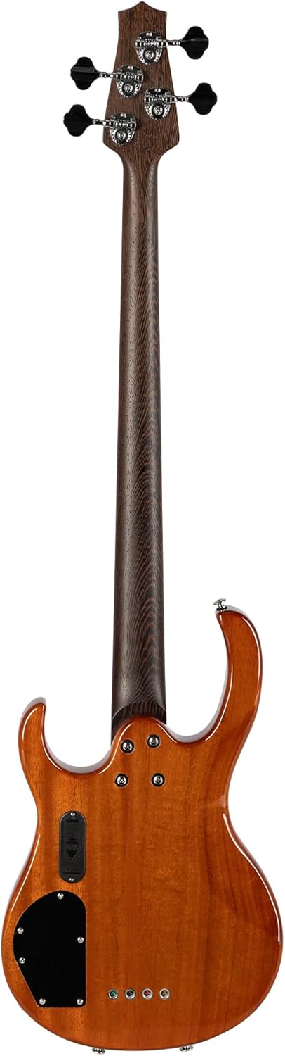 H. Jimenez 4 String Glossy Gold Top Bass Guitar With Deluxe Padded Gig Bag (LBS4-GT)