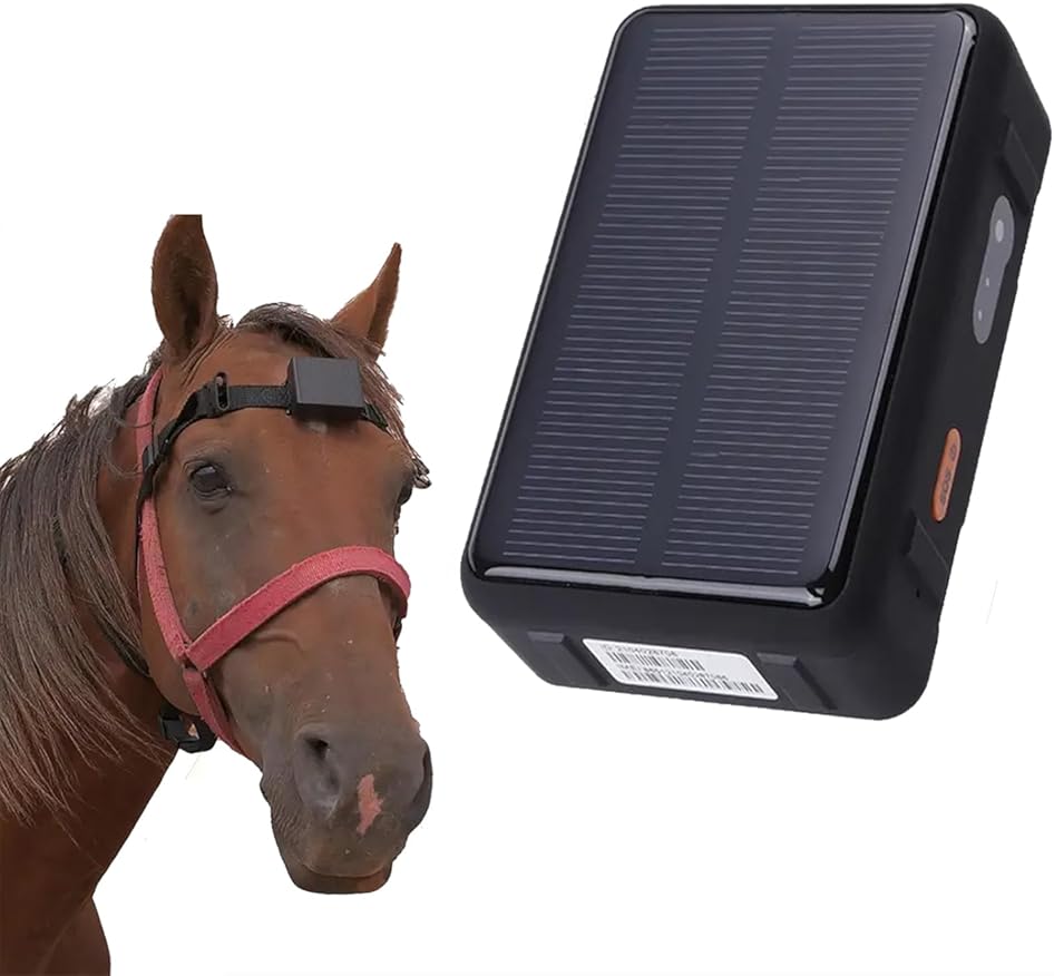 Large Animal Tracker, Solar Energy Animal Tracker with Buzzer Alarm, 9000mAh Super Long Standby/Real-time Tracking/IP67 Waterproof/Anti-theft Function, Perfect for Cattle, Sheep, Horse and Camel