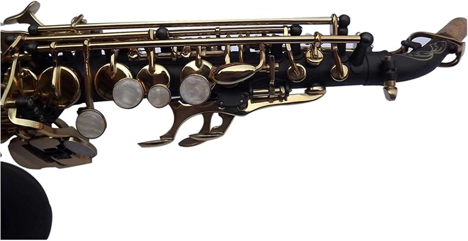 Sax Beginners Kit Soprano Saxophone Exquisite Carved Flower Black Nickel Gold Surface B Tone Sax Brass Instrument with Case Wind Instrument