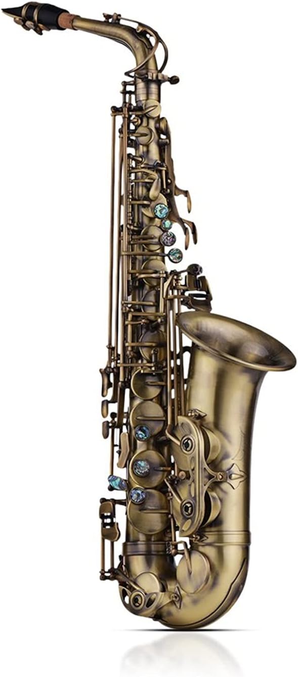 Sax Beginners Kit Antique Finish EB E Flat Alto Saxophone Sax Shell Key Carve Pattern Instrument with Case Gloves Straps Wind Instrument