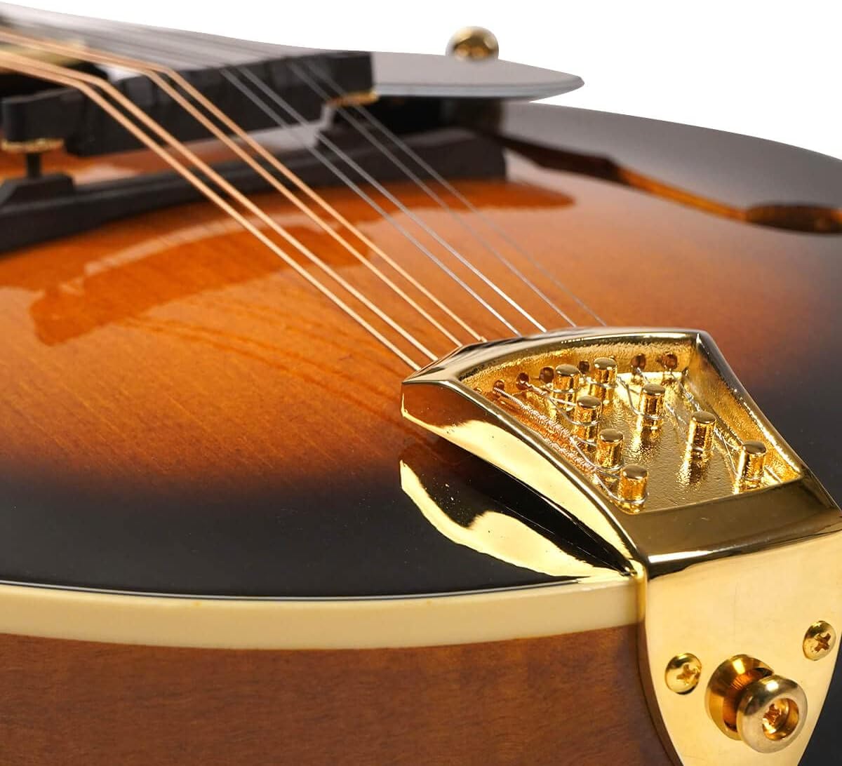 Gold Tone GM-70 F-Style Mandolin (Two Tone Tobacco)