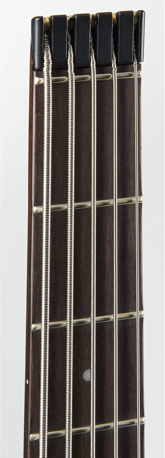 Steinberger Spirit XT25 Standard 5 String Bass, Black with Bag