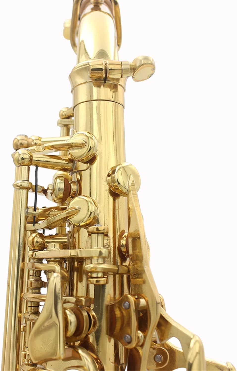 Brass Golden Carve Pattern Bb Bend Althorn Saxophone Saxophone Sax Pearl White Shell Buttons Wind Instrument with Case Student Saxophone