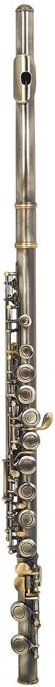 Flute Set 16 Closed Hole Flute C Tone Woodwind Instrument Green Copper Nickel Practical Material