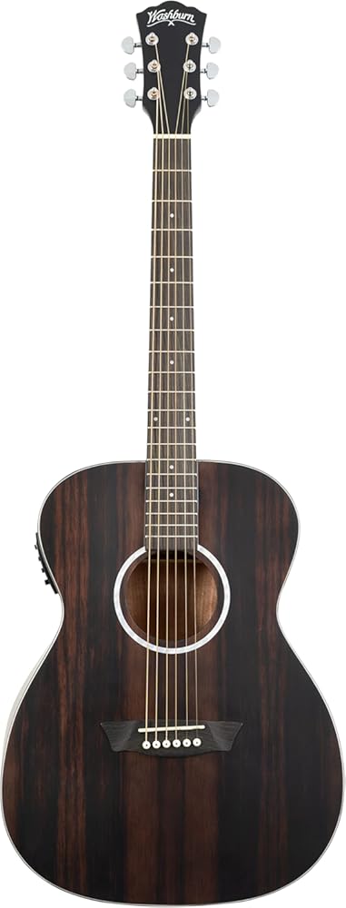 Washburn Deep Forest Ebony FE (DFEFE)
