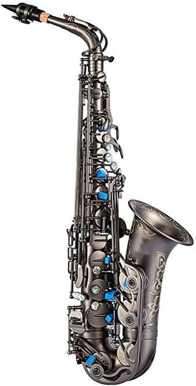 Saxophone Set E Flat Alto Saxophone/Wind Instrument Matte Matte Black Student Saxophone