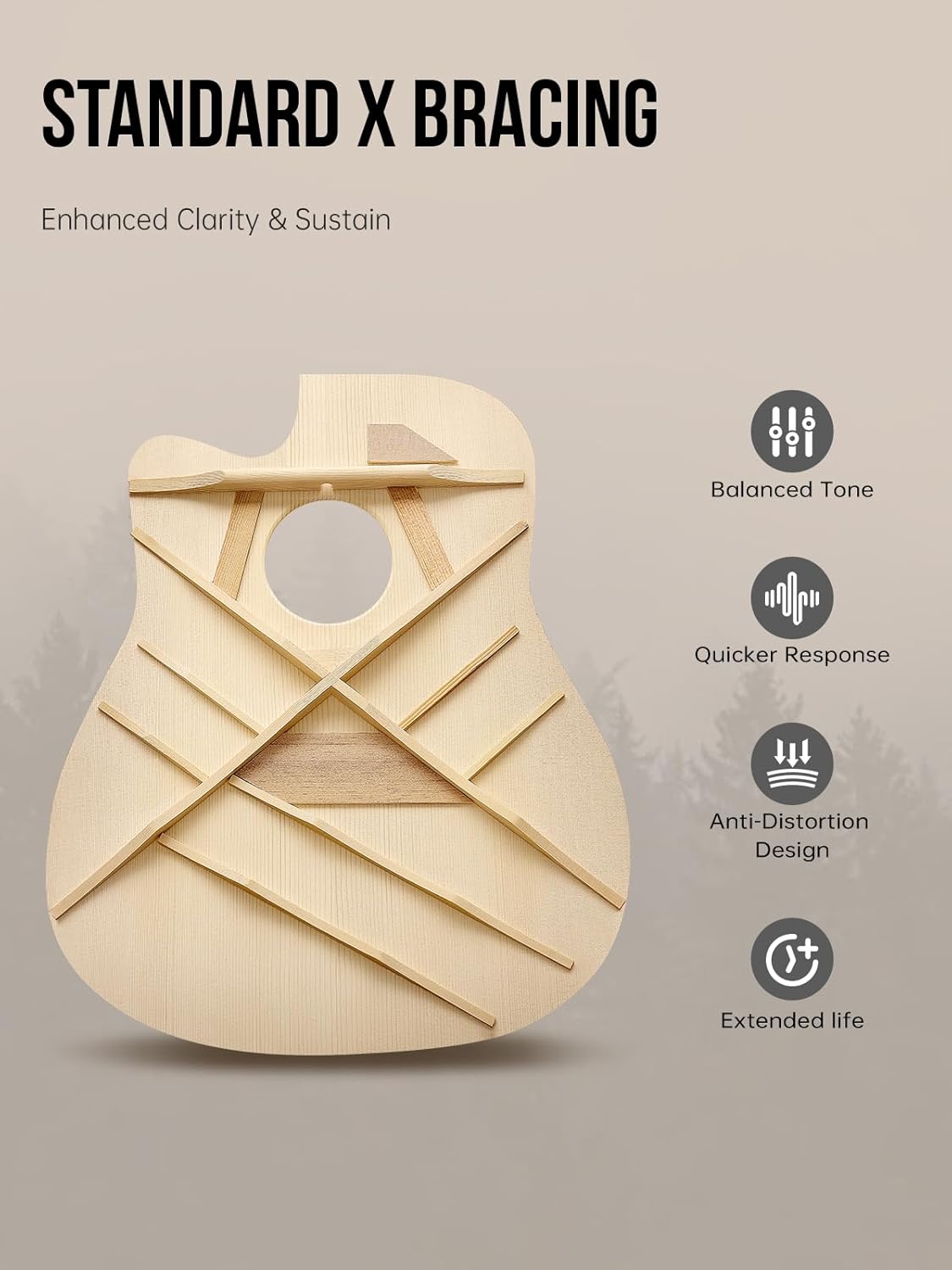 Rosen Solid Top Dreadnought Acoustic Guitar 41 Inches Spruce Guitar Beginner Bundle with Book, Padded Bag, Strings, Picks, Hexwrench, Strap, Polishing Cloth, Black