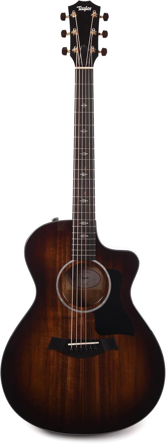 Taylor 222ce-K DLX