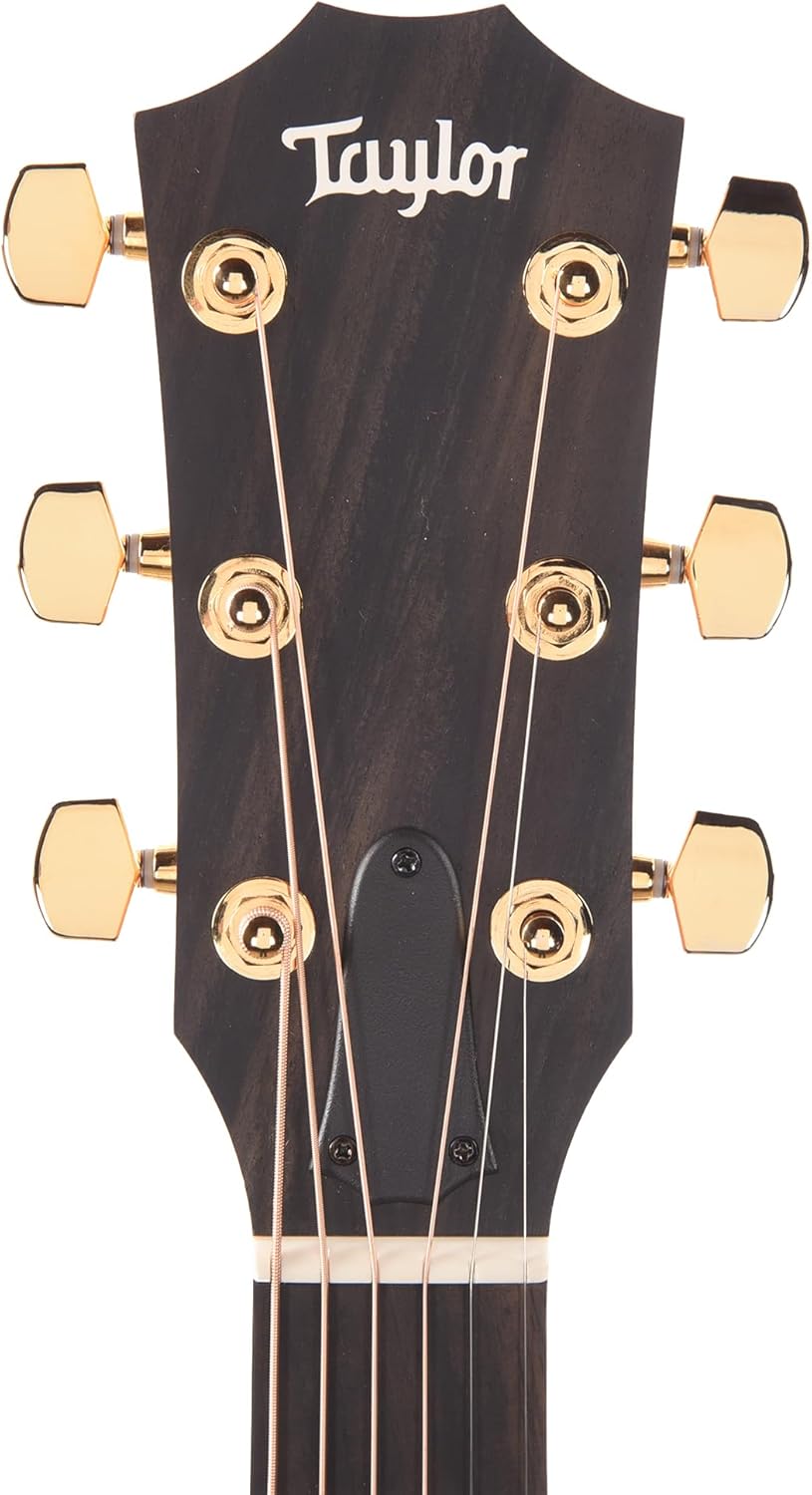 Taylor 224ce-K DLX Grand Auditorium Acoustic-electric Guitar - Tobacco