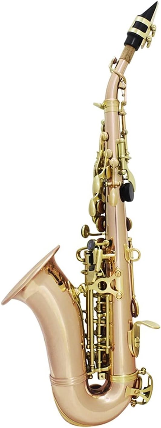 Sax Beginners Kit Bb Saxophone Saxophone Sax Phosphor Copper Woodwind Instrument with Carry Case Gloves Cleaning Cloth Brush Sax Brush Wind Instrument