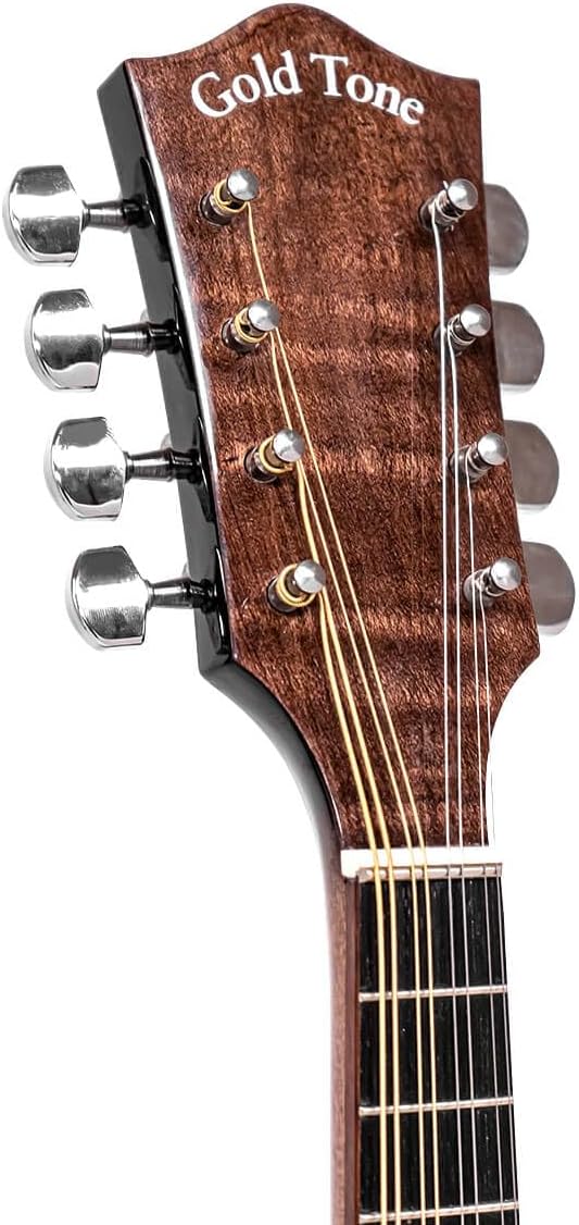 Gold Tone Banjo Mandolin