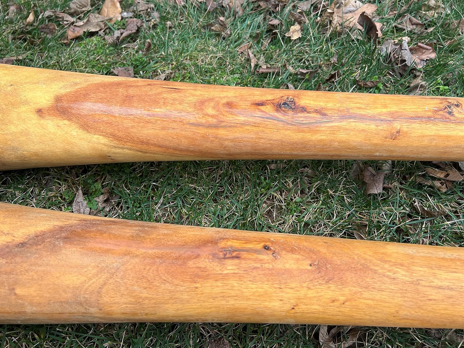 Handmade Didgeridoo Root Eucalyptus 59