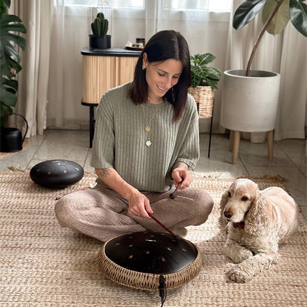 The Balmy Drum - Steel Tongue Rain Drum Outside 15 Note 14 Inch (Black) - Chakra Drum for Rain Outdoor, Steel Drums for Adults, Tongue Drums Set with Music Book, Hand pan, Mallet and Carry Bag