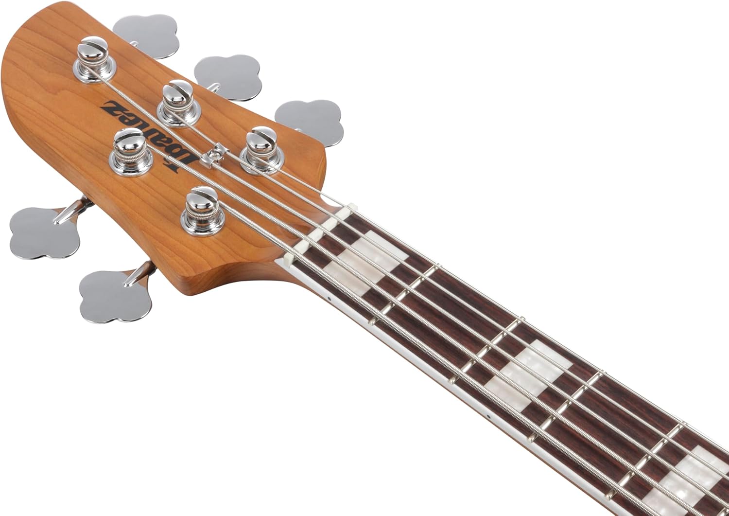 Ibanez Talman Bass Standard 5-string - Cosmic Blue Starburst