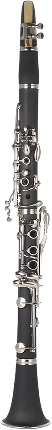 Clarinet Set ABS 17 Keys Bb Clarinet White Copper Nickel Plated Belt Cleaning Cloth Gloves Woodwind Instrument Professional Clarinet