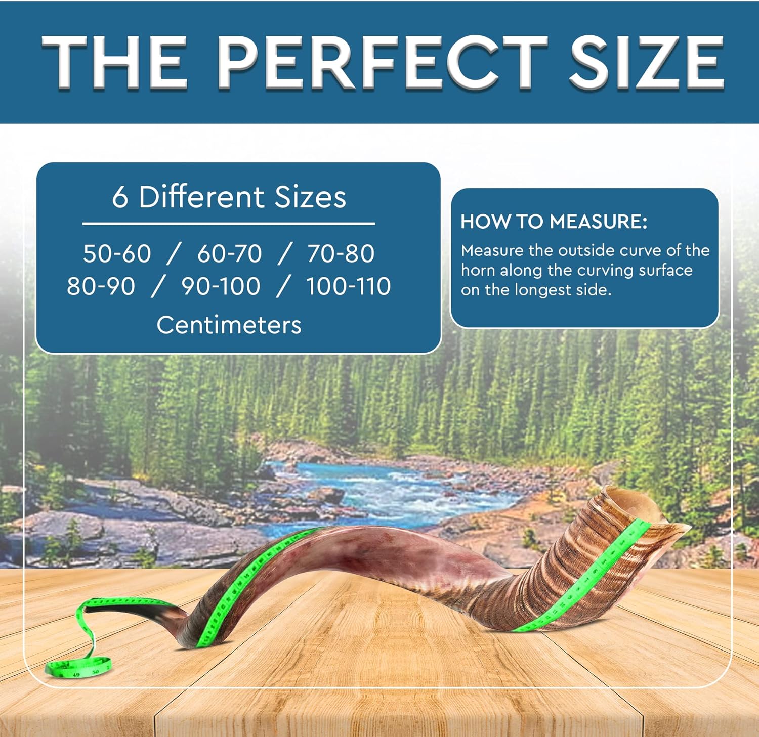 Kudu Shofar | Kosher Horn from Israel | Size 27-31 Inch