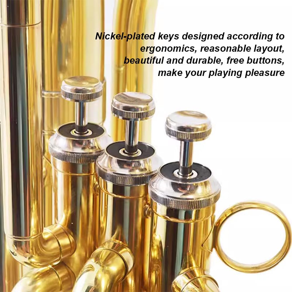 Upright Euphonium, Western Wind Instrument, 4 Flat Key Euphonium, Festival Instrument, Full Sound