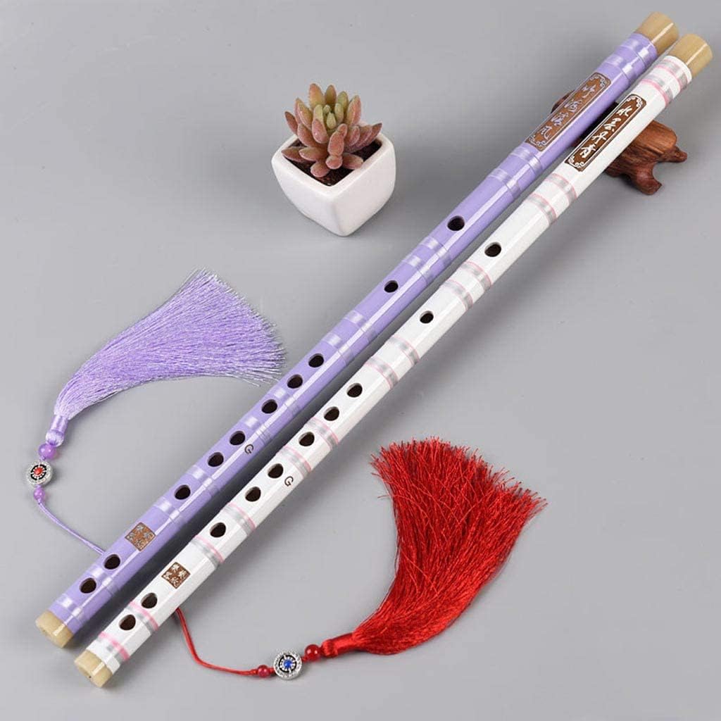 Flute Woodwind Flutes Classical Bamboo Flute Musical Instrument Chinese Traditional Dizi Transversal Flauta for Beginner (White G Tone)