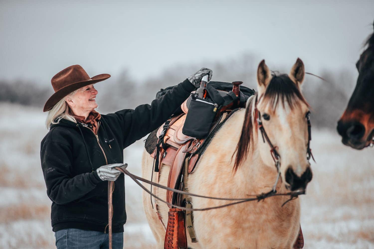 TrailMax Large Horn Saddle Bags; Horn Saddle Bags for Horses; Trail Riding Saddle Bags for Western & Endurance Saddles; Double-Stitched, 600-Denier Poly Saddle Bags