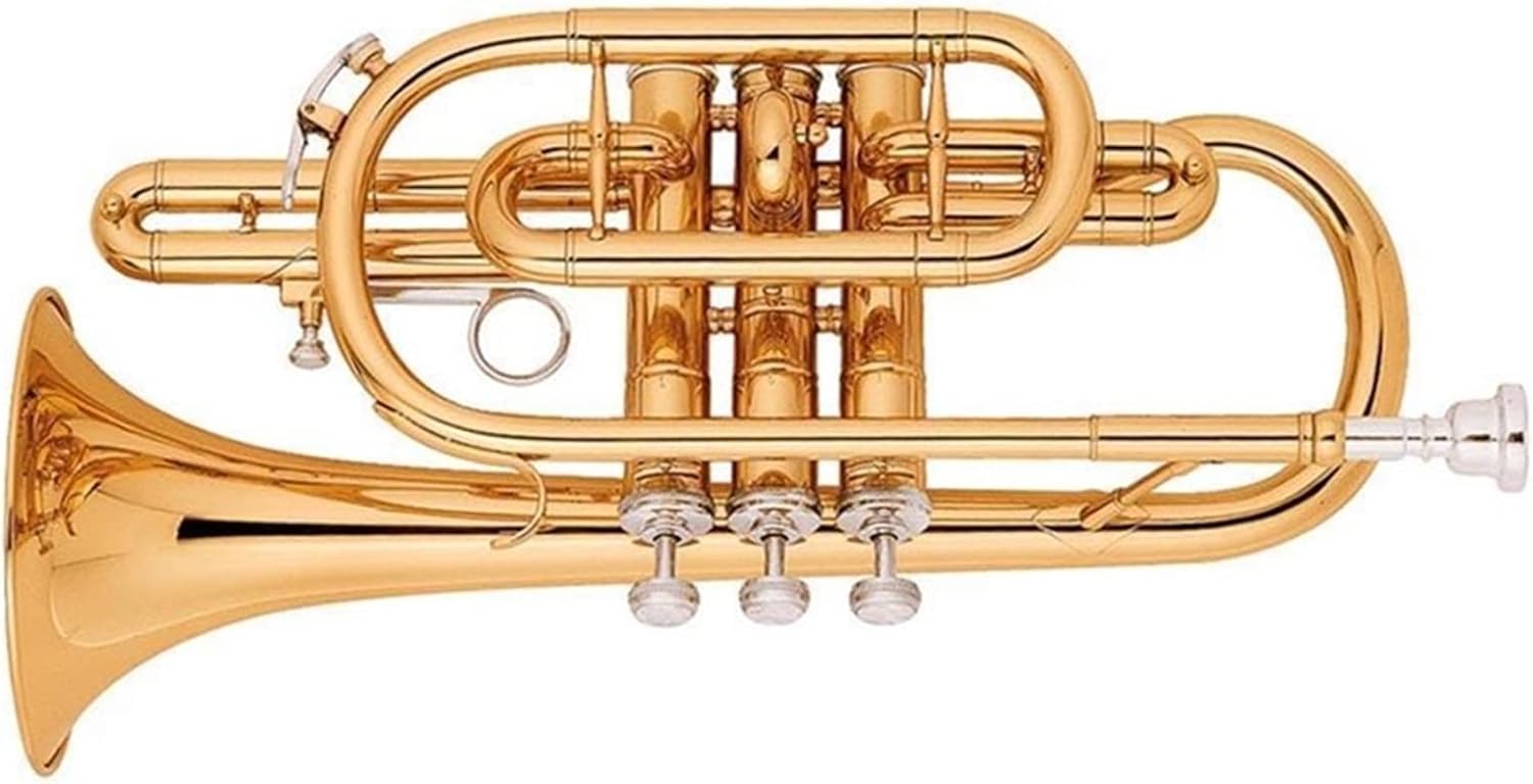 Trumpets Beginner Gold Lacquer Brass Body Cupronickel Valves Bb Cornet Trumpet Set