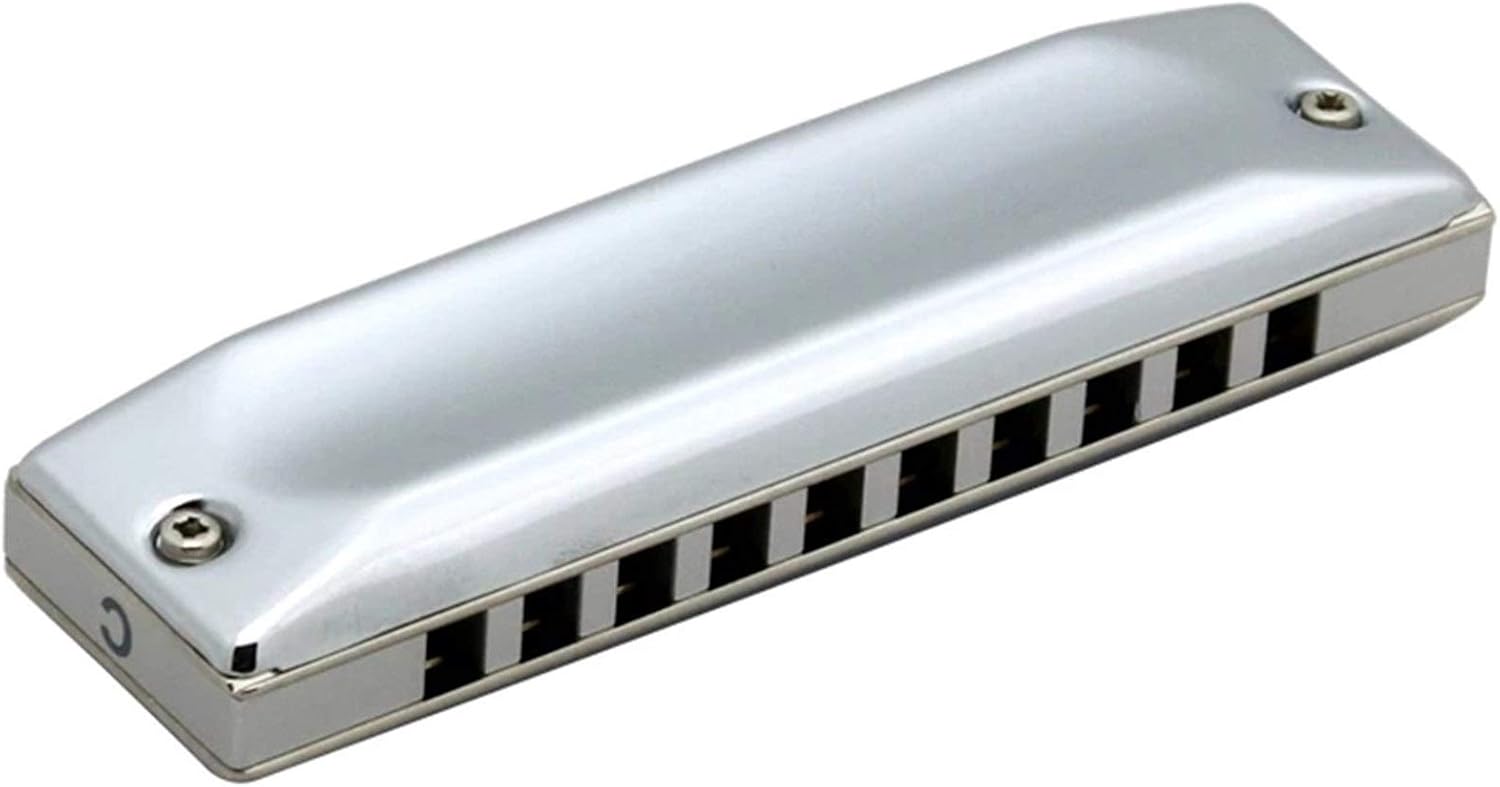 SUOFEILAIMU 580/20 Diatonic Harmonica for MS Series Diatonic 10 Holes Mouth Organ Key C Musical Instruments Armonica Blues (Color : Key B)