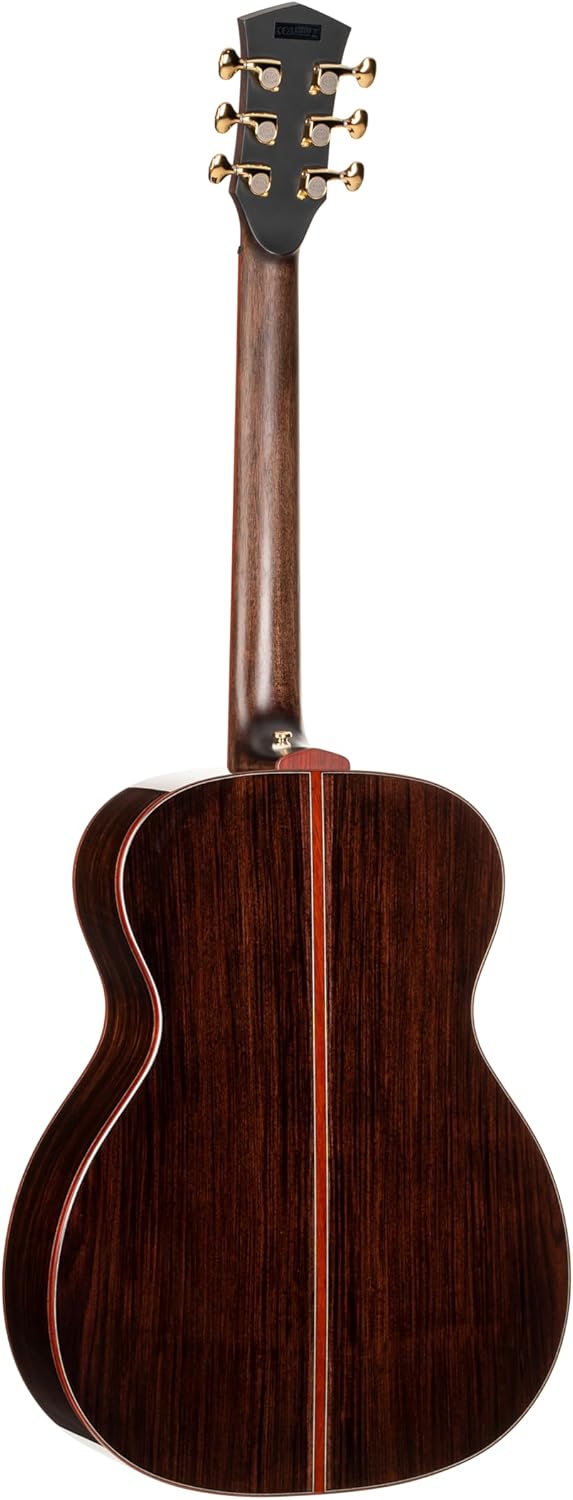 Cort Masterpiece Series Abstract Delta A/E Guitar With Case