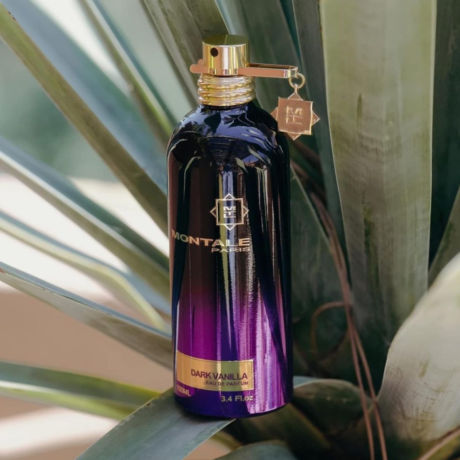 MONTALE Dark Purple Eau de Parfum Spray, 3.3 Fl Oz