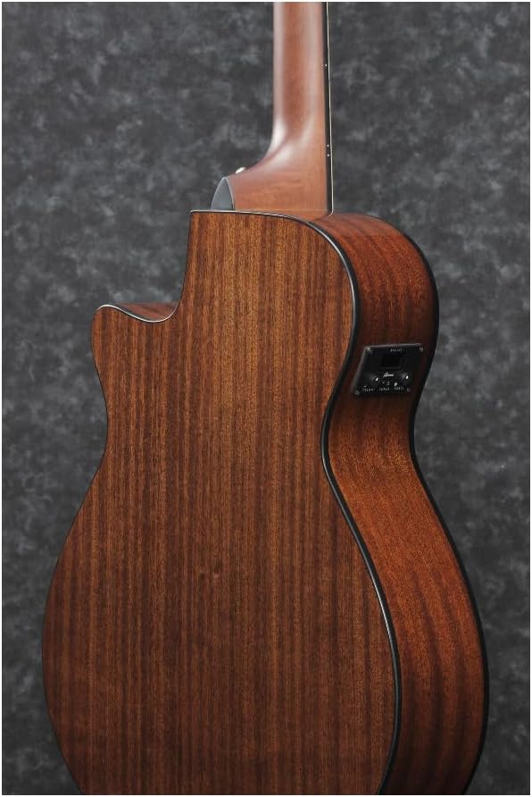 Ibanez AEG50 Acoustic-Electric Guitar - Dark Honey Burst High Gloss