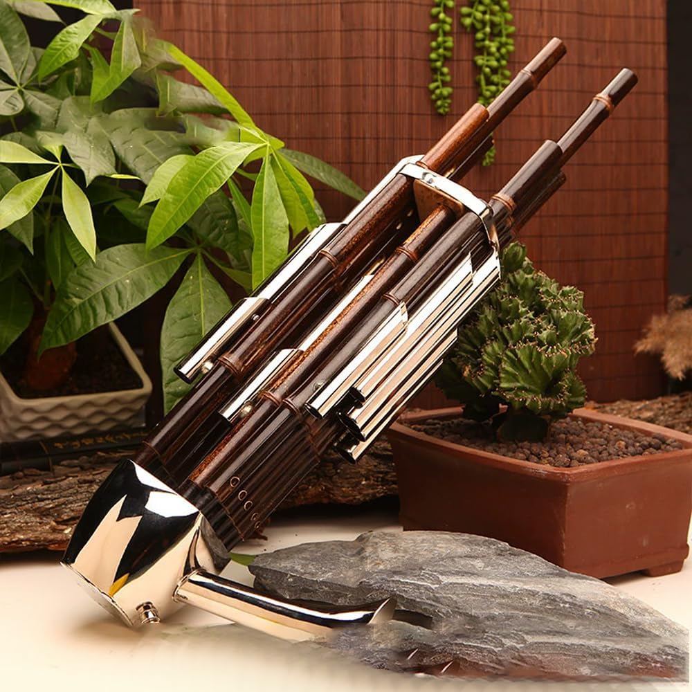 Sheng, A Traditional Chinese Wind Instrument, Is Suitable for Beginners in The Key of D,14-Spring,for Weddings/Festivals,B