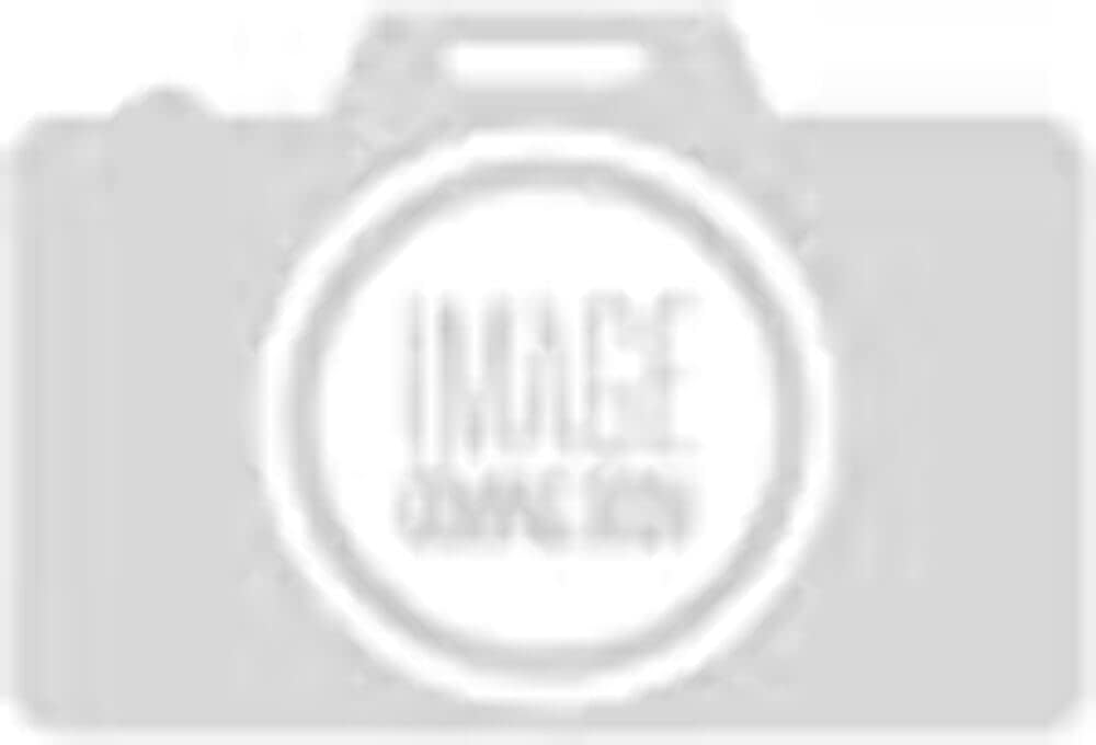 Road Armor - 19-20 Ram 2500 iDentity Rear Mesh iDentity Pattern & Step Pads (4192DRMD)