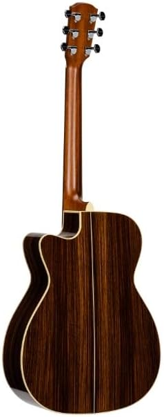 Alvarez FY70ce Guitar