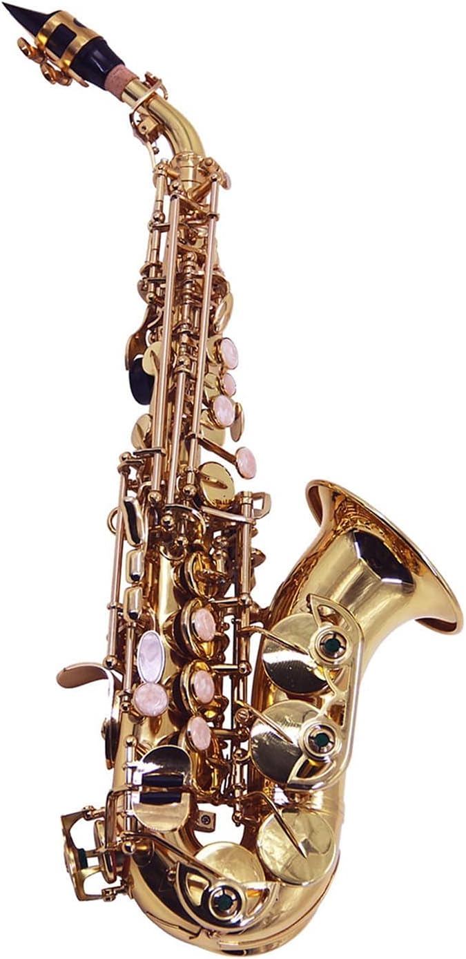 Saxophone Set Saxophones Student Bb Soprano Saxophone Brass Lacquered Gold Woodwind Instrument with Carrying Case Reed Cleaning Brush Cloth Gloves Straps