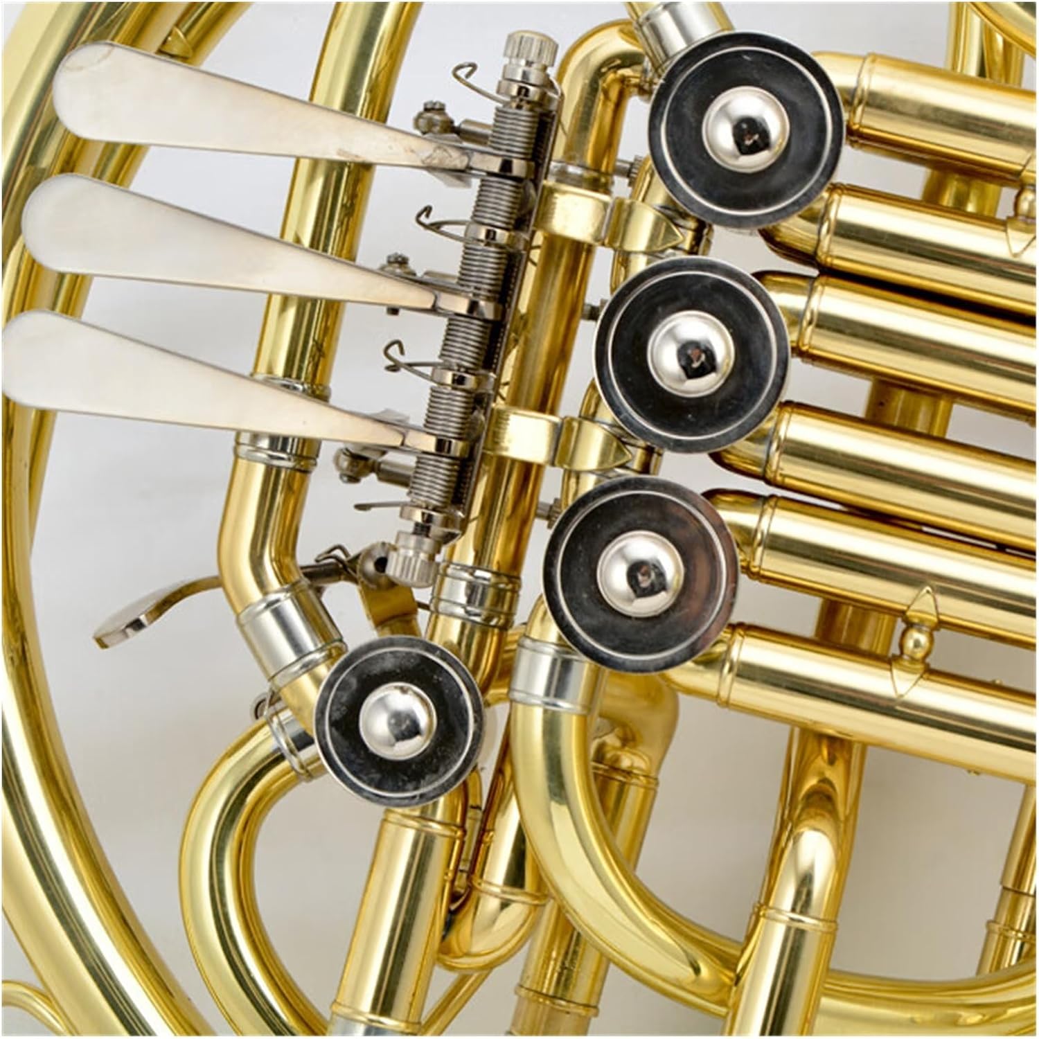 Professional Double French Horn B flat Suitable for adults
