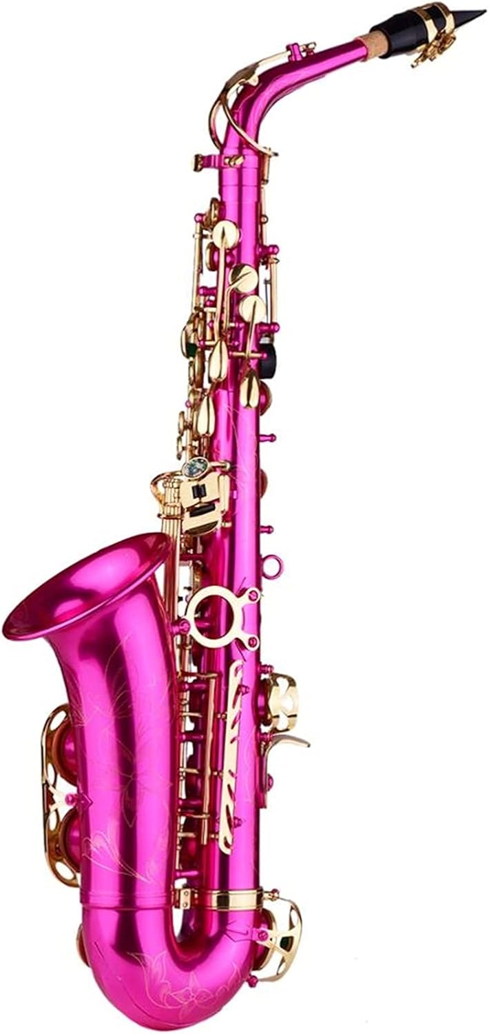 Brass Engraved EB E- Flat Alto Saxophone Sax Abalone Shell Buttons with Case Gloves Cleaning Cloth Grease Belt Brush Student Saxophone (Color : Black)