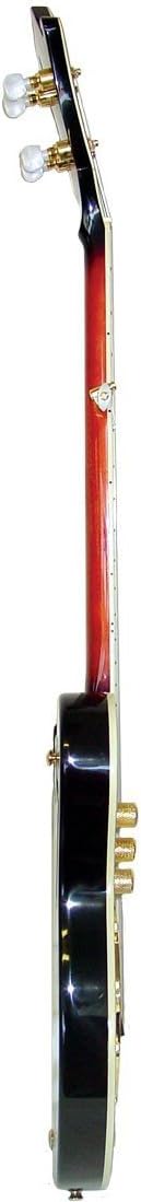 Gold Tone 5-String Electric Banjo - Left Handed