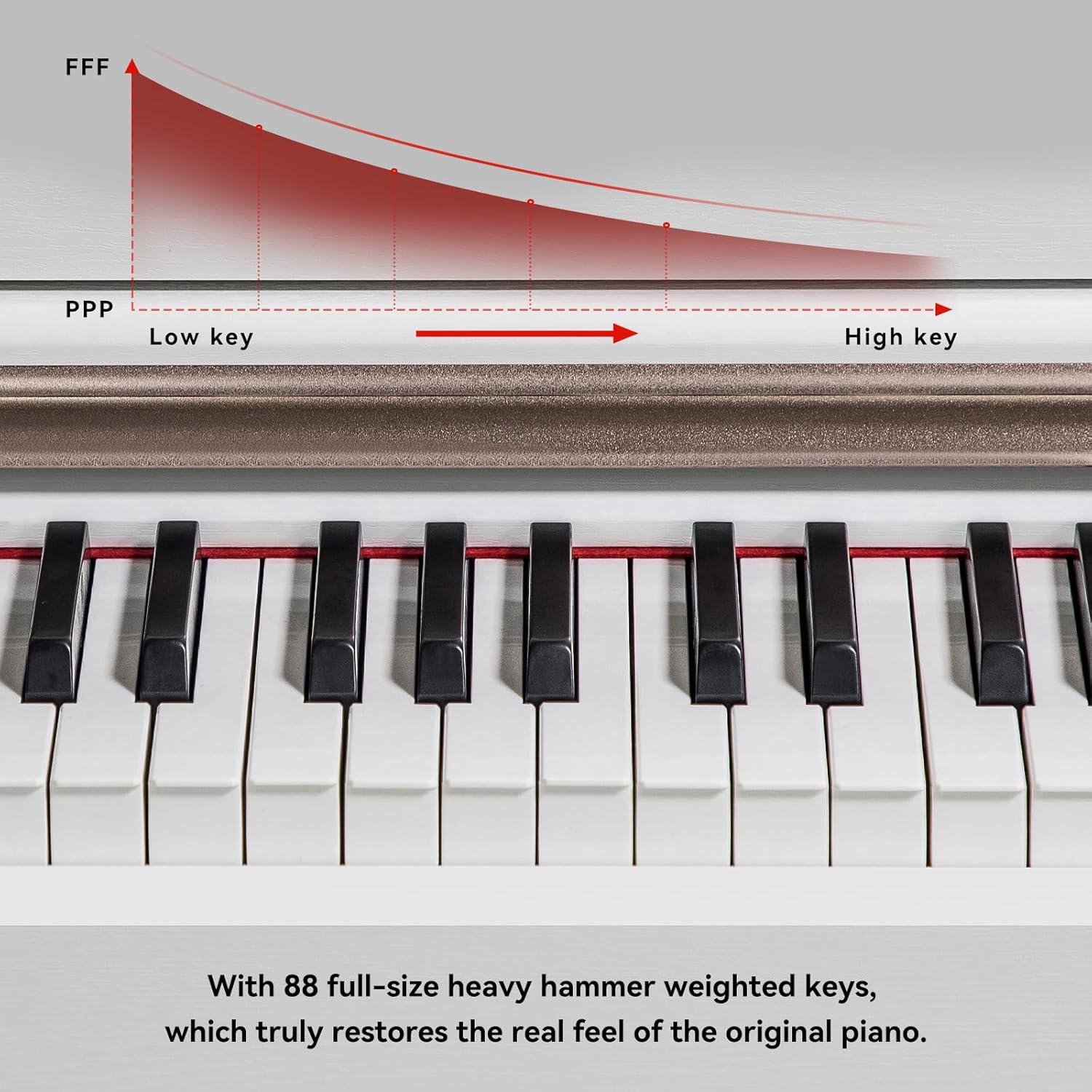 ZHRUNS Digital Piano, 88 Key Full Weighted Keyboard Piano