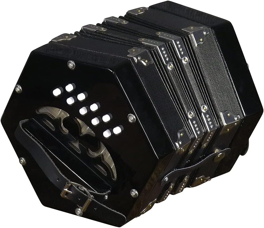20 Buttons Concertina, Professional Accordion Piano Musical Instrument, Easy To Learn Music Accordion Instrument, For Children Friends