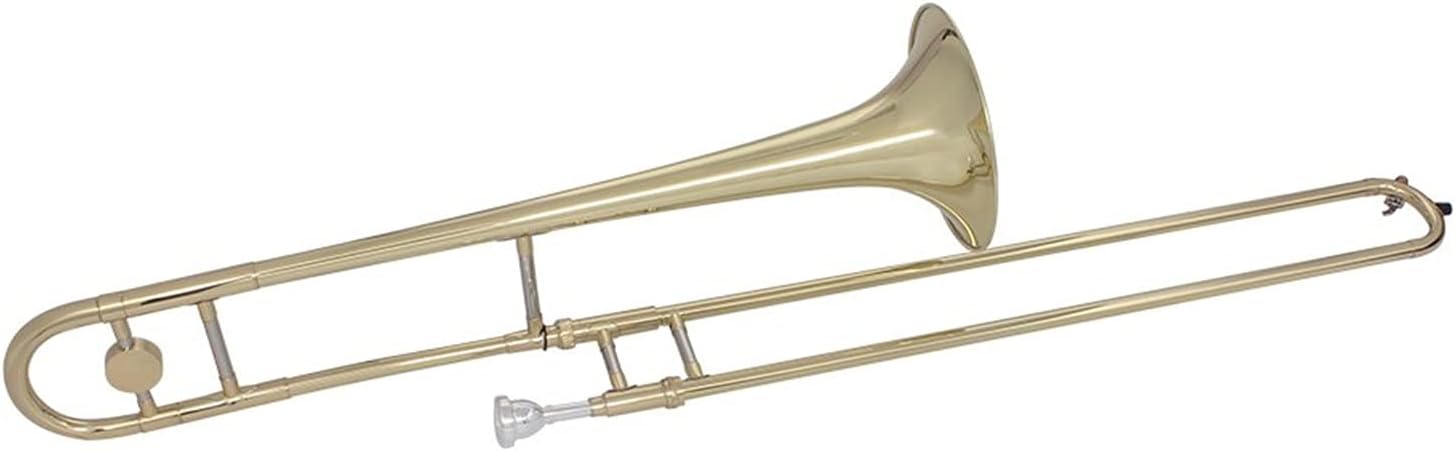 Student Trombone Alto Trombone Brass with Gold Paint BB Trombone Wind Instrument with Suitcase Mouthpiece Cleaning Cloth Gloves Trombone Kit