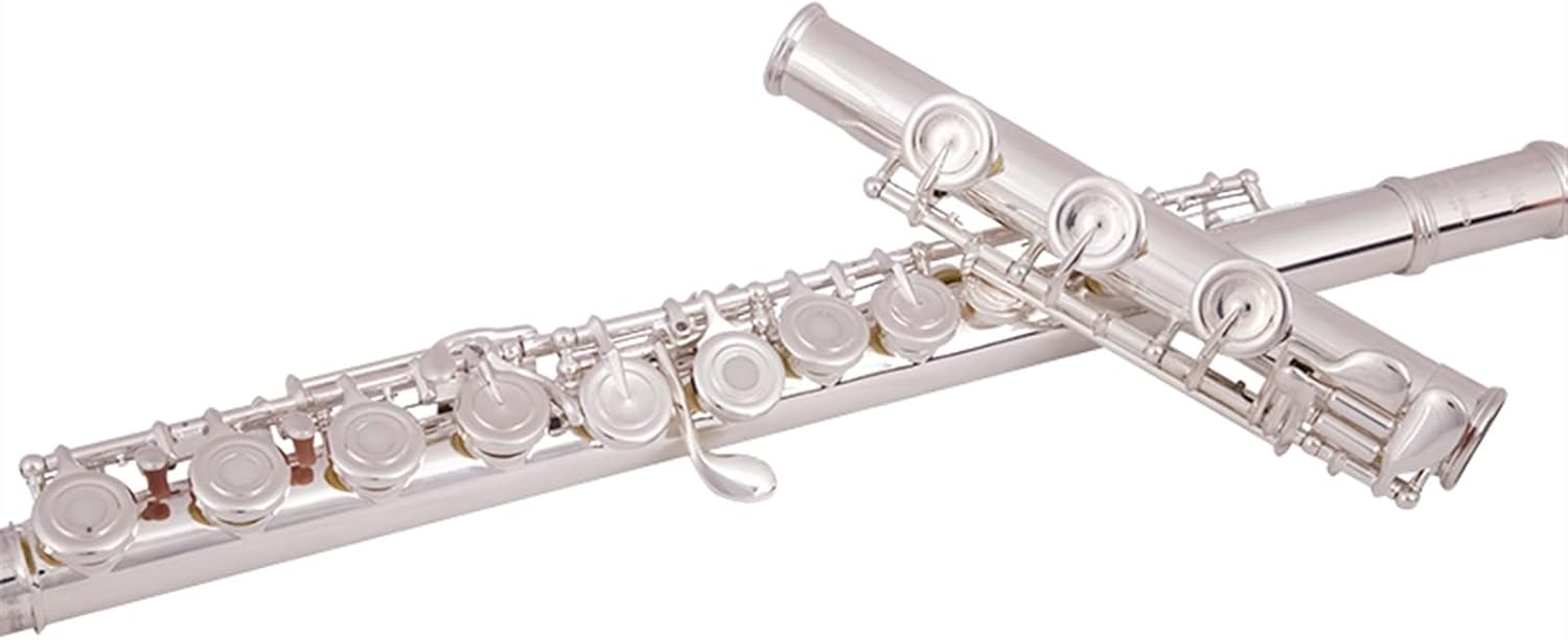 Flute Cupronickel Plated Silver 16 Holes C Key Woodwind Instrument with Gloves Padded Case Flutes (Color : 02)