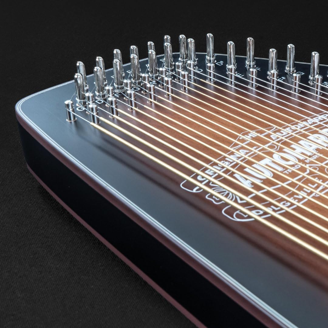 Autoharp by Oscar Schmidt OS11021AE 