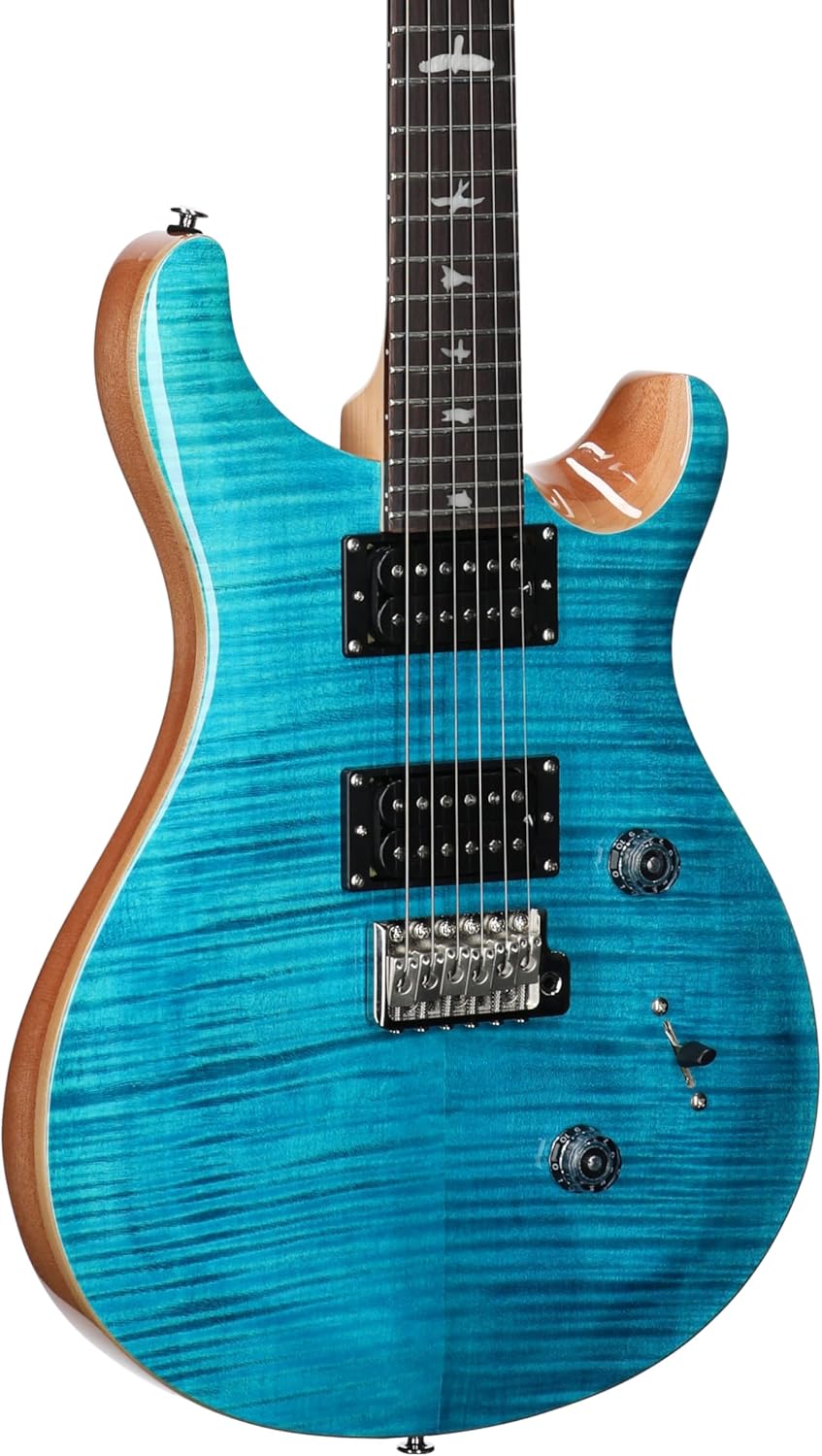 PRS SE Custom 24 Exclusive, Blue Matteo Natural Back
