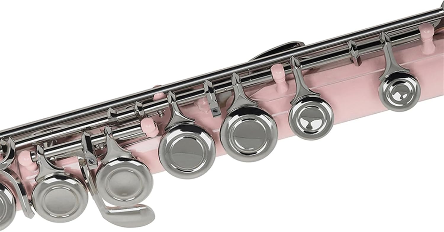 Flute Pink 16 Hole Flute W/E Woodwind Closed Hole C Cassette Flutes Musical Instruments