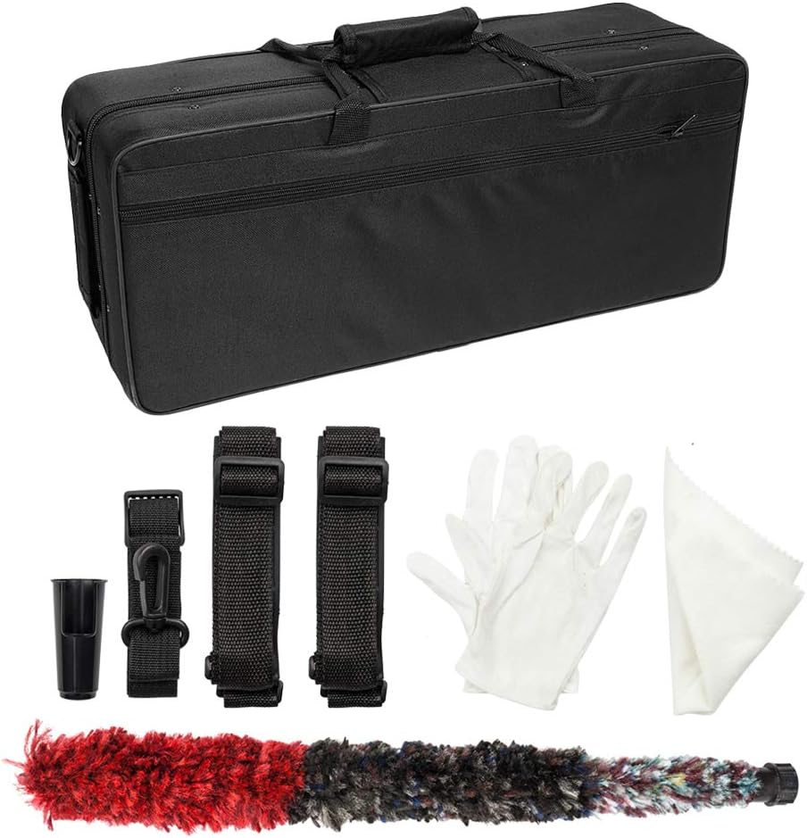 Stylish Mid-range Alto Drop E Saxophone,Professional Alto Eb SAX Saxophone, Alto Saxophone with Cushions,case,carekit (Gold)