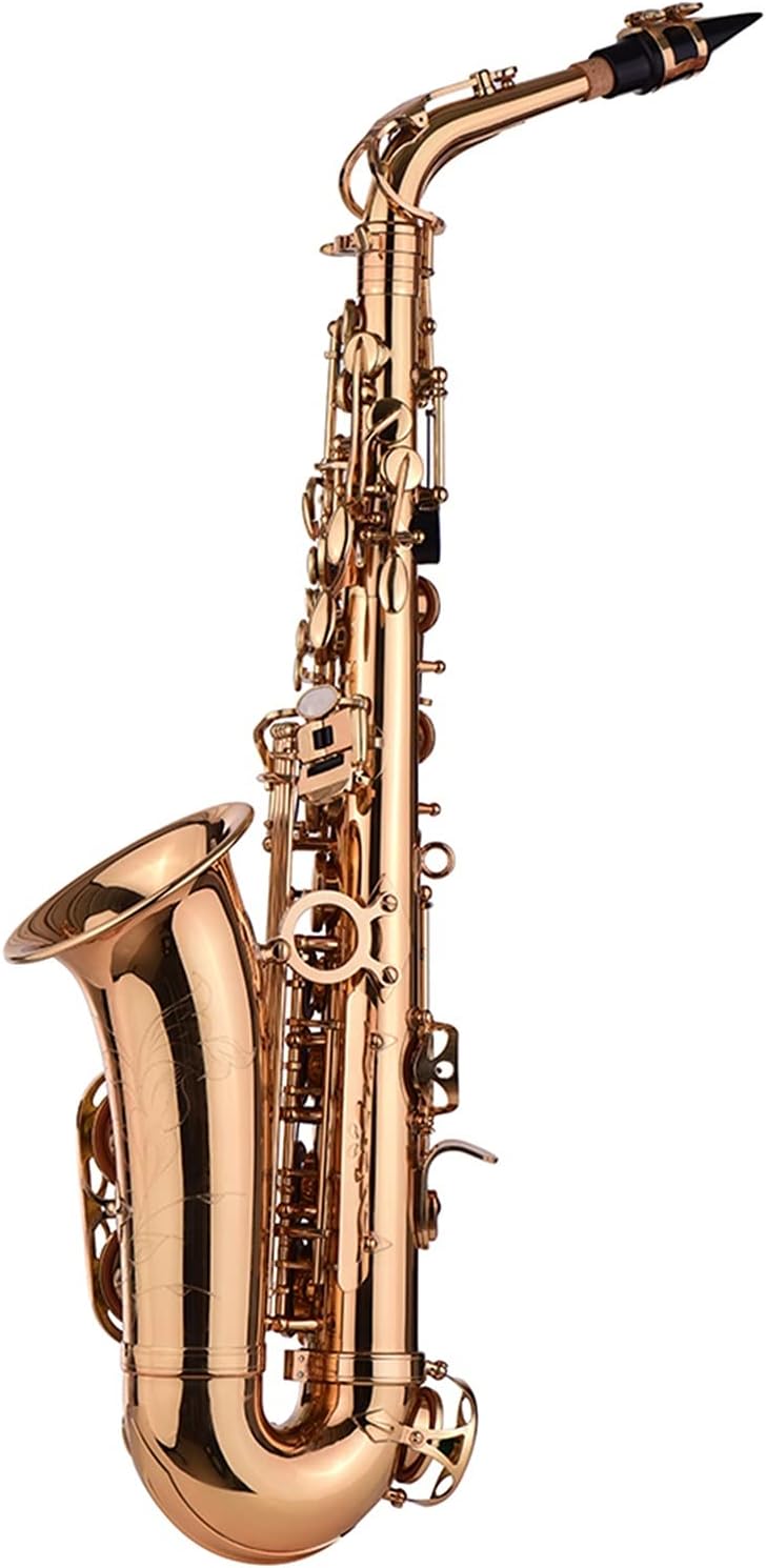 EB Alto Saxophone Brass Material Wind Instrument with Carry Case Gloves Cleaning Cloth Sax Straps Tuner Professional Saxophone