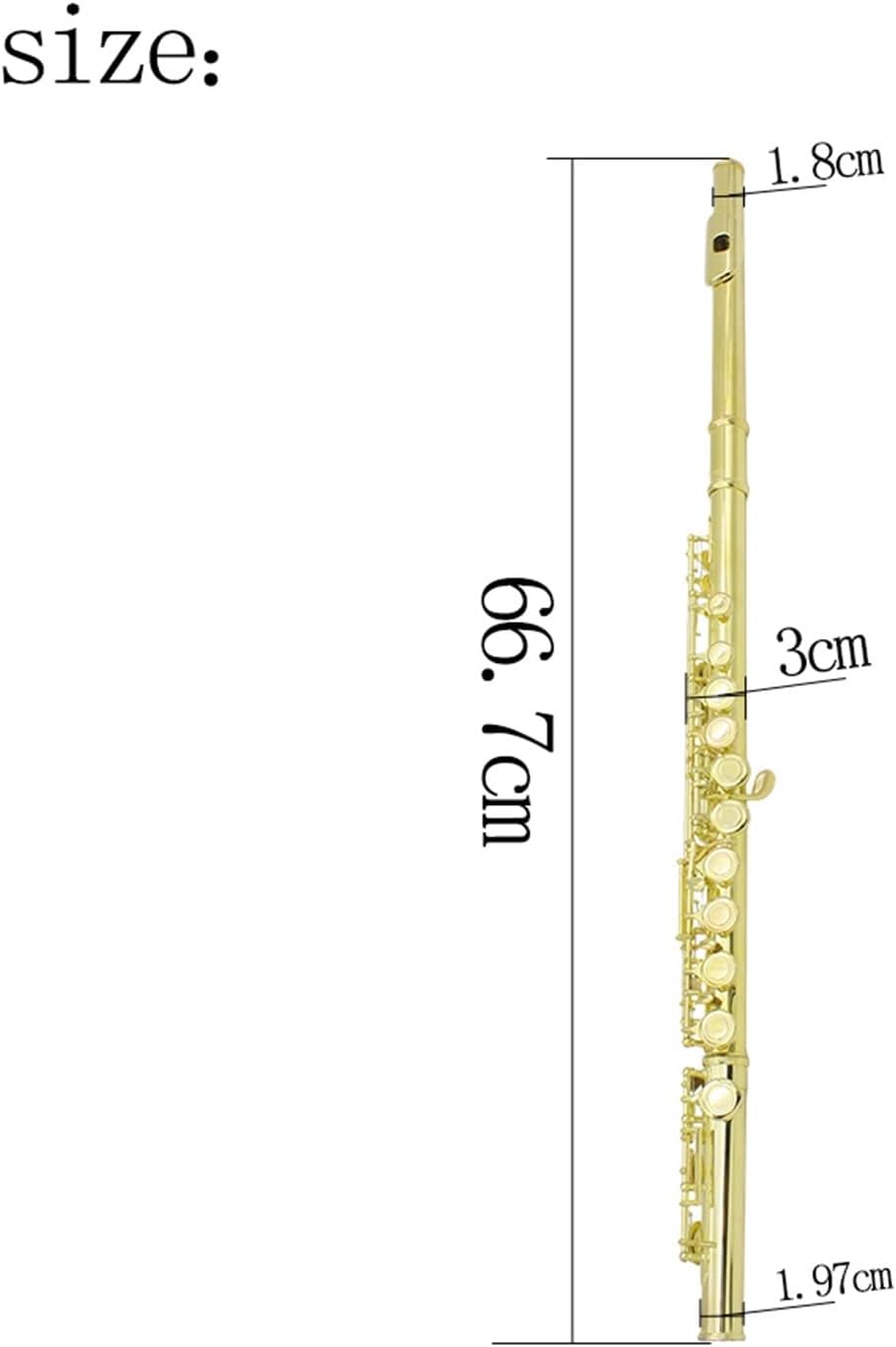 Flute Musical Instrument Golden 16 Holes C Tone Flute with E Key Woodwind Instrument Closed Hole Gold- Plated Keys Cupronickel Tube with Music Case Starter Flute